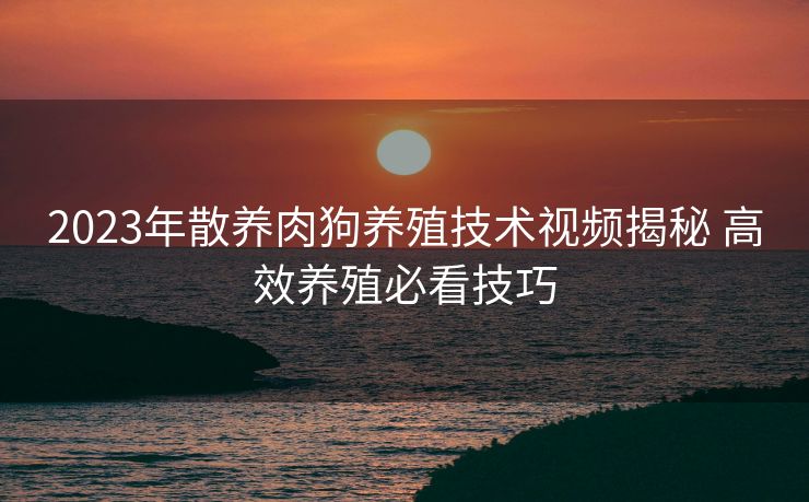 2023年散养肉狗养殖技术视频揭秘 高效养殖必看技巧