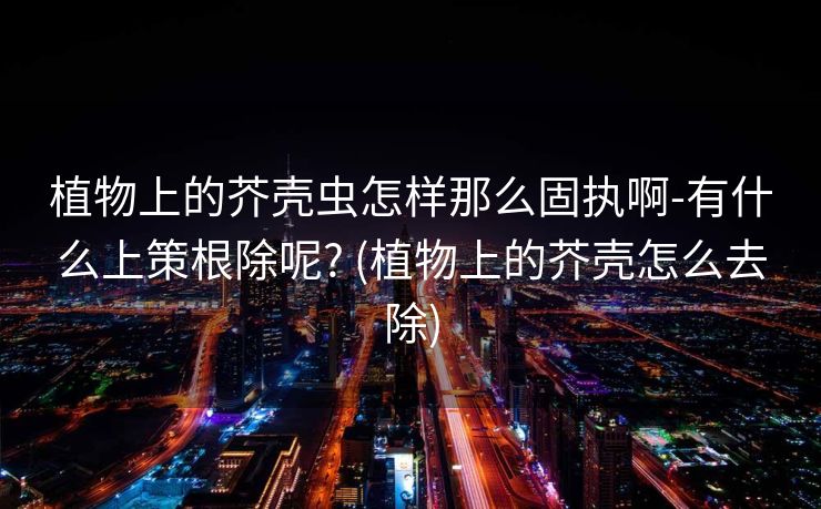 植物上的芥壳虫怎样那么固执啊-有什么上策根除呢? (植物上的芥壳怎么去除)