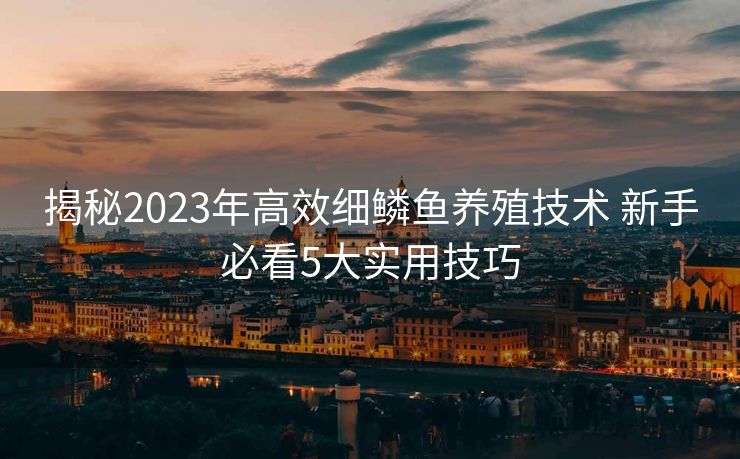 揭秘2023年高效细鳞鱼养殖技术 新手必看5大实用技巧