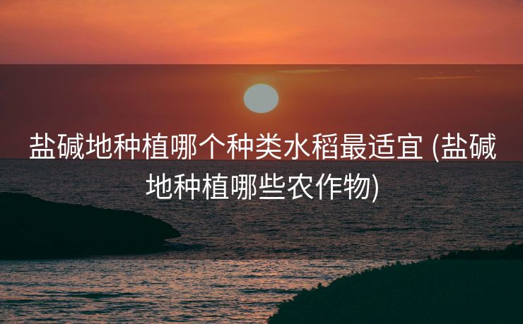 盐碱地种植哪个种类水稻最适宜 (盐碱地种植哪些农作物)