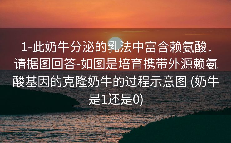 1-此奶牛分泌的乳法中富含赖氨酸．请据图回答-如图是培育携带外源赖氨酸基因的克隆奶牛的过程示意图 (奶牛是1还是0)