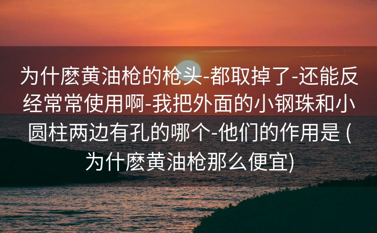 为什麽黄油枪的枪头-都取掉了-还能反经常常使用啊-我把外面的小钢珠和小圆柱两边有孔的哪个-他们的作用是 (为什麽黄油枪那么便宜)
