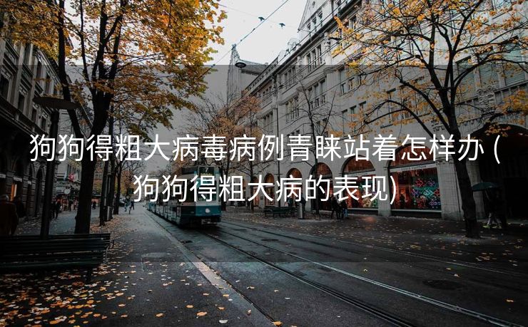 狗狗得粗大病毒病例青睐站着怎样办 (狗狗得粗大病的表现)