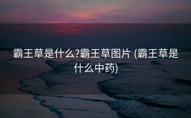 霸王草是什么?霸王草图片 (霸王草是什么中药)