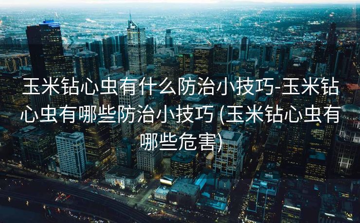 玉米钻心虫有什么防治小技巧-玉米钻心虫有哪些防治小技巧 (玉米钻心虫有哪些危害)