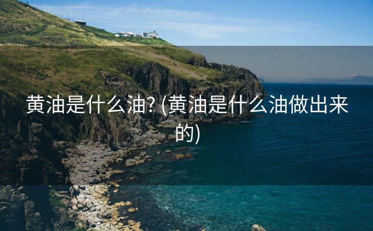 黄油是什么油? (黄油是什么油做出来的)