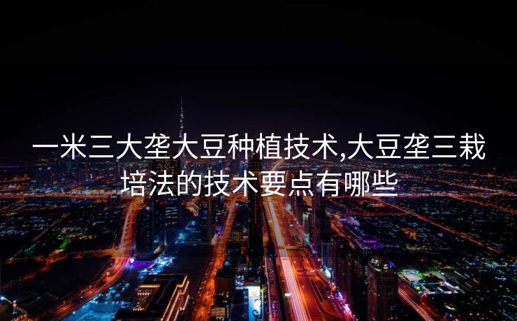 一米三大垄大豆种植技术,大豆垄三栽培法的技术要点有哪些