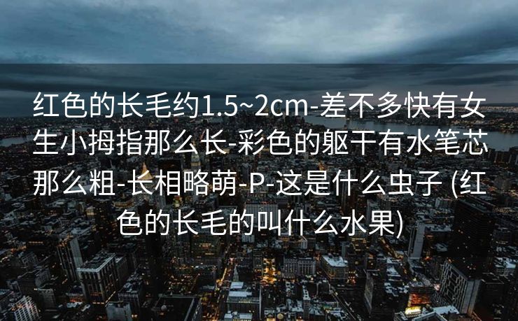 红色的长毛约1.5~2cm-差不多快有女生小拇指那么长-彩色的躯干有水笔芯那么粗-长相略萌-P-这是什么虫子 (红色的长毛的叫什么水果)