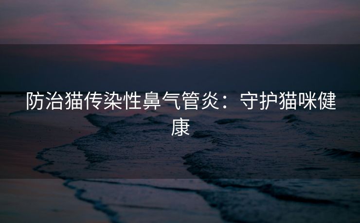 防治猫传染性鼻气管炎：守护猫咪健康