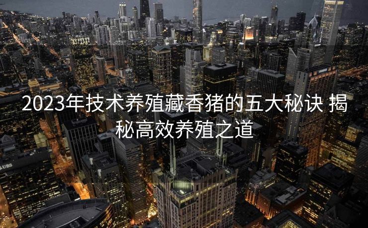 2023年技术养殖藏香猪的五大秘诀 揭秘高效养殖之道 2023年技术养殖藏香猪的五大秘诀 揭秘高效养殖之道