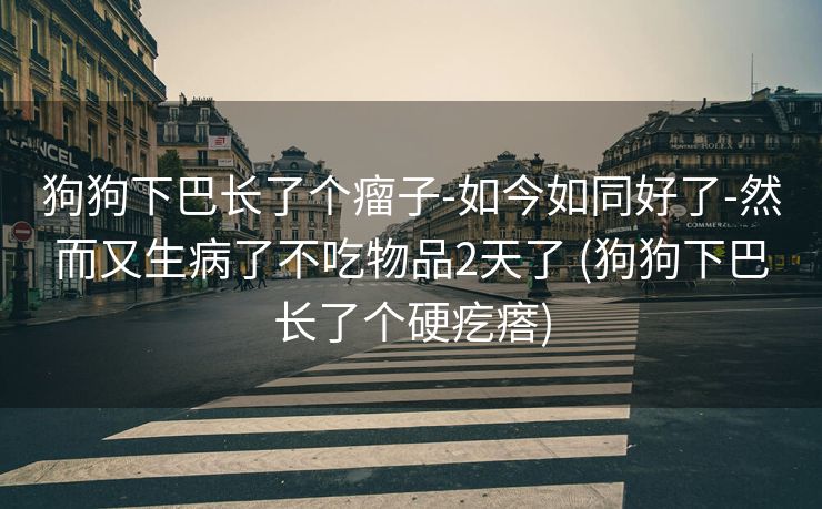 狗狗下巴长了个瘤子-如今如同好了-然而又生病了不吃物品2天了 (狗狗下巴长了个硬疙瘩)