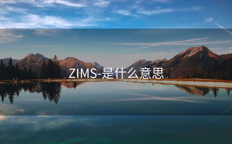 ZIMS-是什么意思