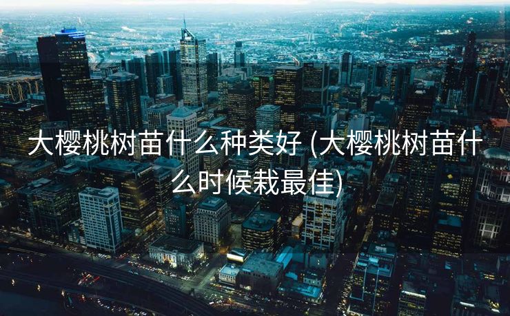 大樱桃树苗什么种类好 (大樱桃树苗什么时候栽最佳)