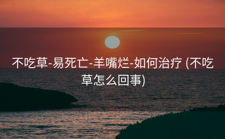 不吃草-易死亡-羊嘴烂-如何治疗 (不吃草怎么回事)