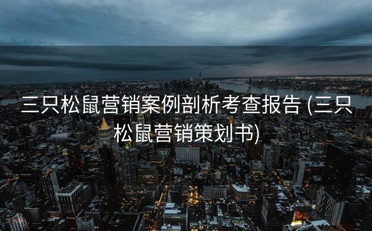 三只松鼠营销案例剖析考查报告 (三只松鼠营销策划书)