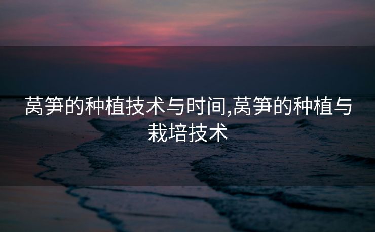 莴笋的种植技术与时间,莴笋的种植与栽培技术