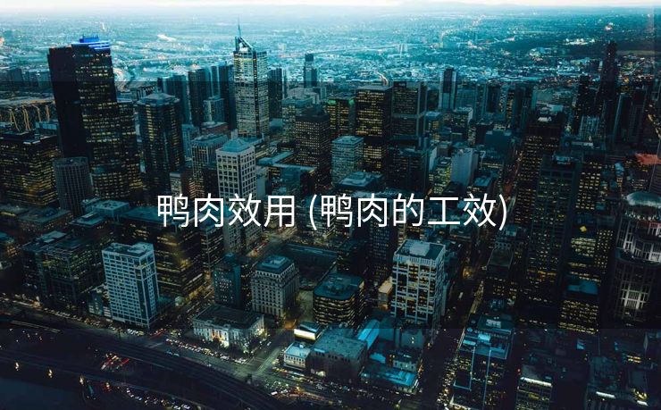 鸭肉效用 (鸭肉的工效)