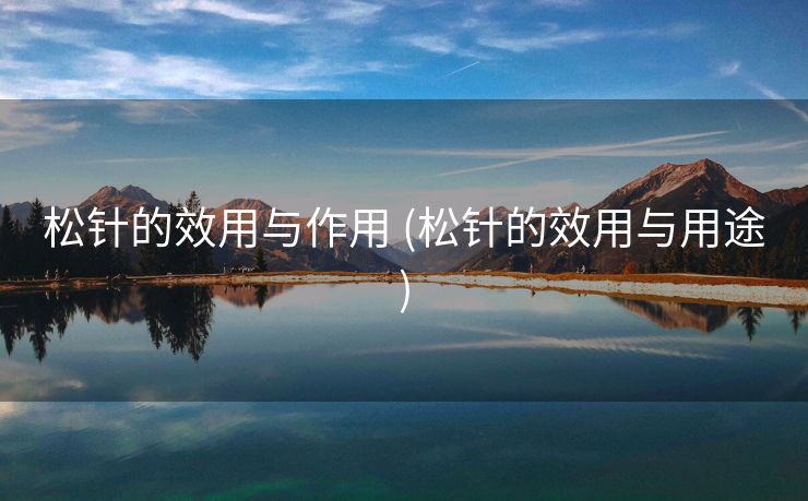 松针的效用与作用 (松针的效用与用途)