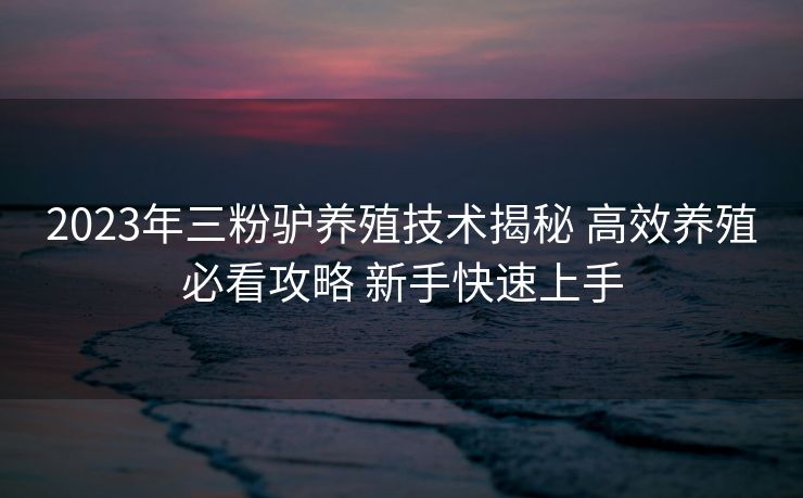 2023年三粉驴养殖技术揭秘 高效养殖必看攻略 新手快速上手