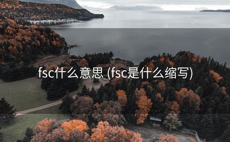 fsc什么意思 (fsc是什么缩写)