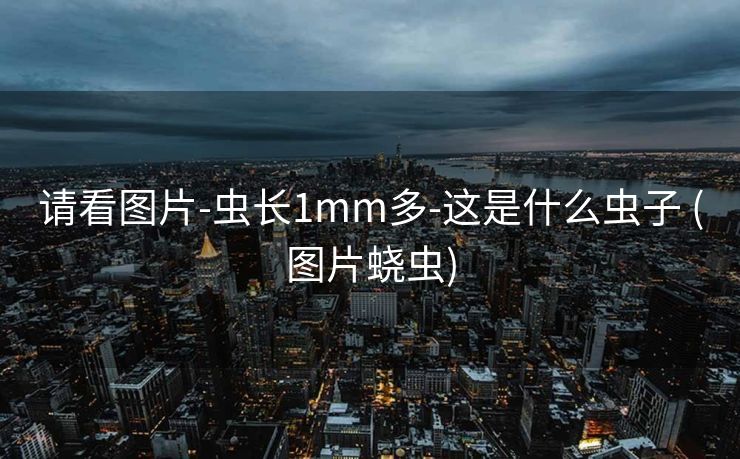请看图片-虫长1mm多-这是什么虫子 (图片蛲虫)