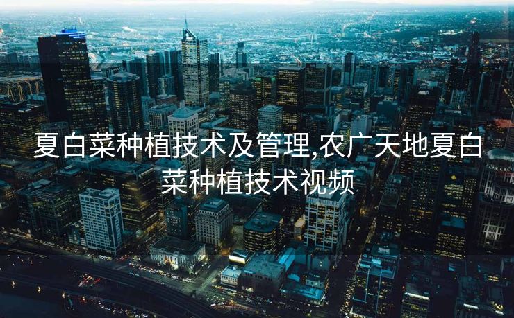 夏白菜种植技术及管理,农广天地夏白菜种植技术视频