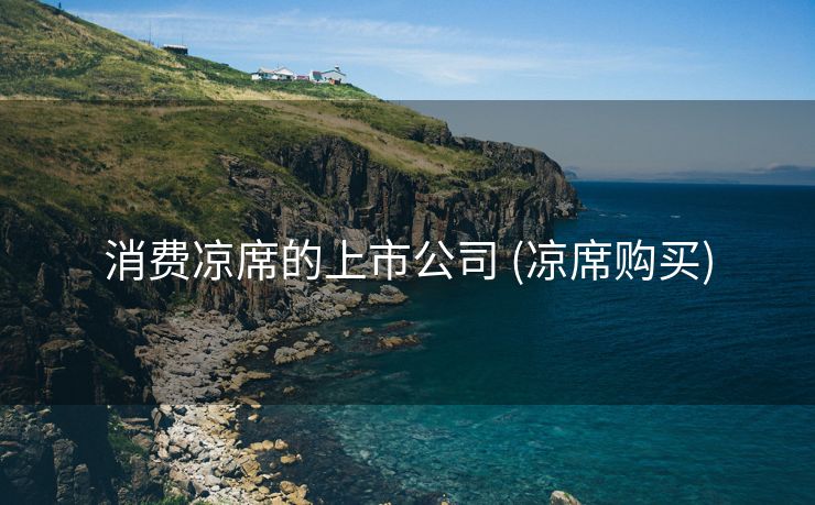 消费凉席的上市公司 (凉席购买)