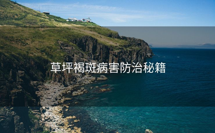 草坪褐斑病害防治秘籍