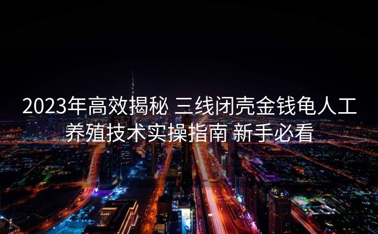 2023年高效揭秘 三线闭壳金钱龟人工养殖技术实操指南 新手必看 2023年高效揭秘 三线闭壳金钱龟人工养殖技术实操指南 新手必看