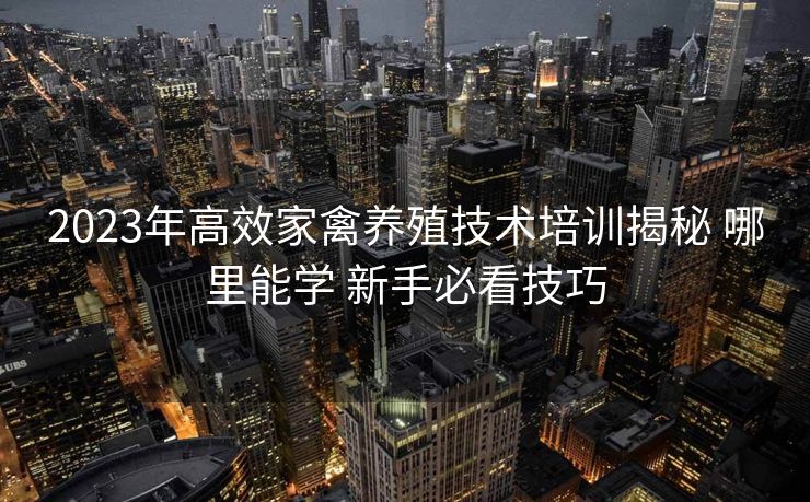 2023年高效家禽养殖技术培训揭秘 哪里能学 新手必看技巧