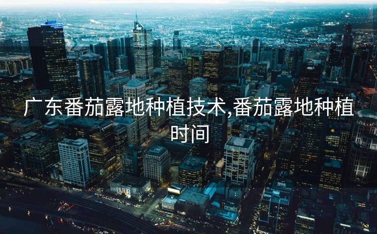 广东番茄露地种植技术,番茄露地种植时间