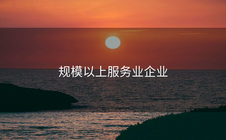 规模以上服务业企业