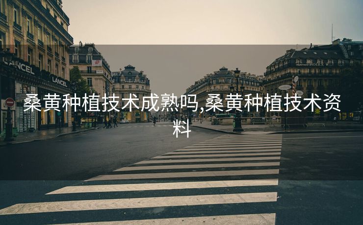 桑黄种植技术成熟吗,桑黄种植技术资料