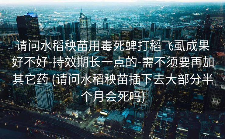 请问水稻秧苗用毒死蜱打稻飞虱成果好不好-持效期长一点的-需不须要再加其它药 (请问水稻秧苗插下去大部分半个月会死吗)