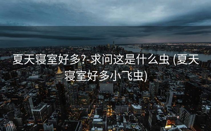 夏天寝室好多?-求问这是什么虫 (夏天寝室好多小飞虫)