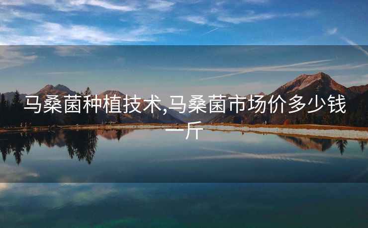 马桑菌种植技术,马桑菌市场价多少钱一斤