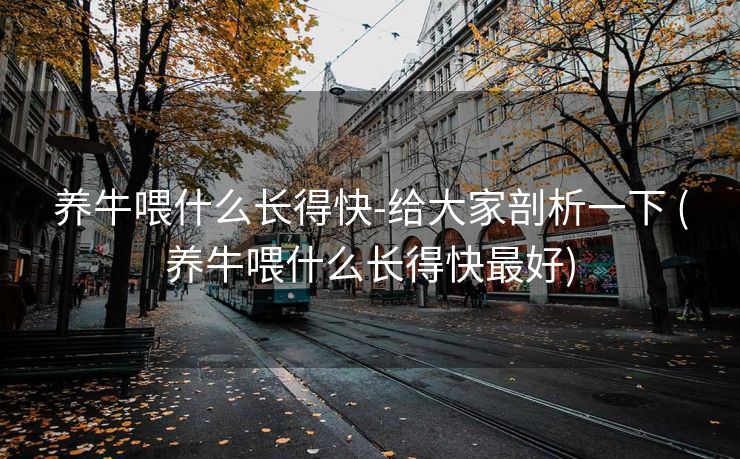 养牛喂什么长得快-给大家剖析一下 (养牛喂什么长得快最好)