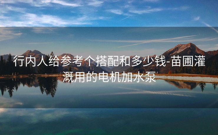 行内人给参考个搭配和多少钱-苗圃灌溉用的电机加水泵