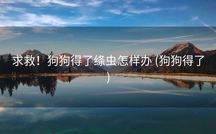 求救！狗狗得了绦虫怎样办 (狗狗得了)