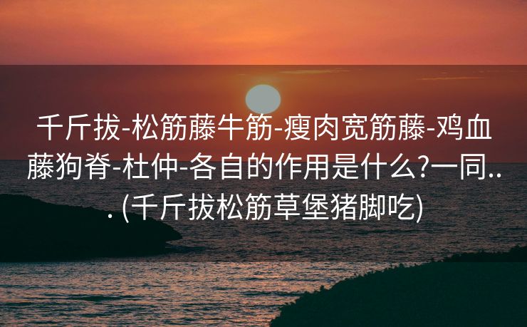 千斤拔-松筋藤牛筋-瘦肉宽筋藤-鸡血藤狗脊-杜仲-各自的作用是什么?一同... (千斤拔松筋草堡猪脚吃) 千斤拔-松筋藤牛筋-瘦肉宽筋藤-鸡血藤狗脊-杜仲-各自的作用是什么?一同... (千斤拔松筋草堡猪脚吃)