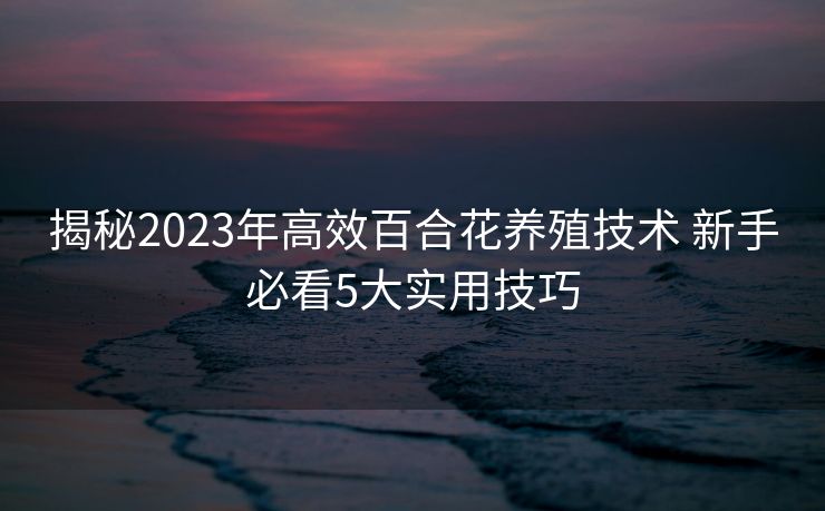 揭秘2023年高效百合花养殖技术 新手必看5大实用技巧