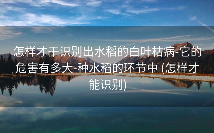 怎样才干识别出水稻的白叶枯病-它的危害有多大-种水稻的环节中 (怎样才能识别)