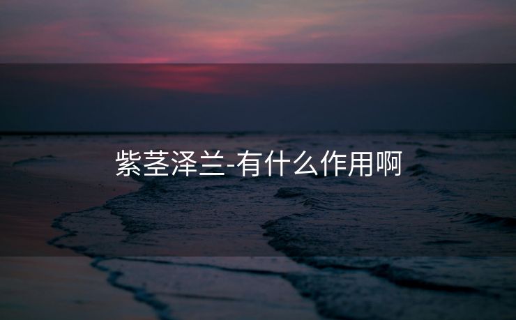 紫茎泽兰-有什么作用啊