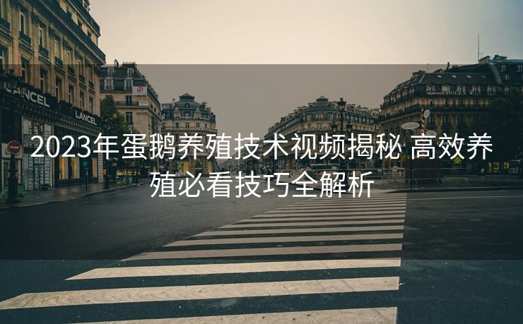 2023年蛋鹅养殖技术视频揭秘 高效养殖必看技巧全解析