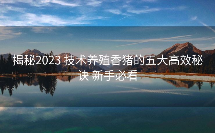 揭秘2023 技术养殖香猪的五大高效秘诀 新手必看