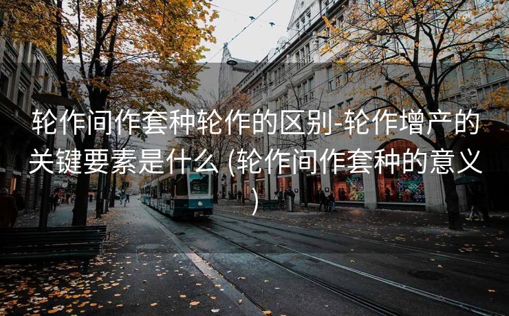 轮作间作套种轮作的区别-轮作增产的关键要素是什么 (轮作间作套种的意义)