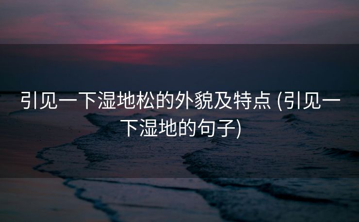 引见一下湿地松的外貌及特点 (引见一下湿地的句子)