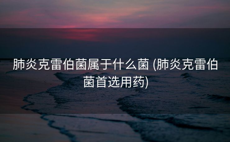 肺炎克雷伯菌属于什么菌 (肺炎克雷伯菌首选用药)