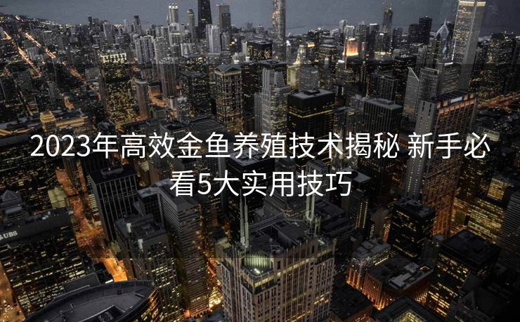 2023年高效金鱼养殖技术揭秘 新手必看5大实用技巧