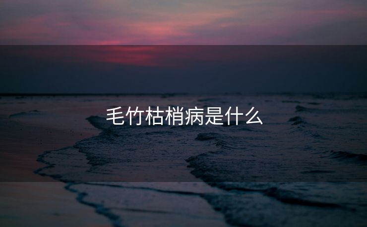 毛竹枯梢病是什么